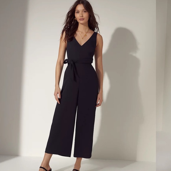 Aritzia jumpsuit (Wilfred) - Picture 3 of 5